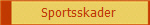 Sportsskader